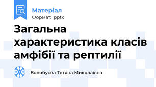 Загальна характеристика класів амфібії та рептилії