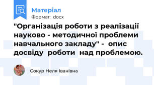 "Організація роботи з реалізації науково - методичної проблеми навчального закладу" -  опис досвіду  роботи  над проблемою.