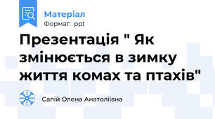 Презентація " Як змінюється в зимку життя комах та птахів"