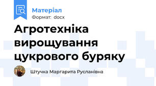 Агротехніка вирощування цукрового буряку