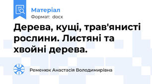 Дерева, кущі, трав'янисті рослини. Листяні та хвойні дерева.