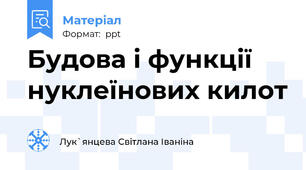 Будова і функції нуклеїнових килот