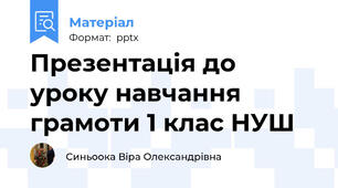 Презентація до уроку навчання грамоти 1 клас НУШ