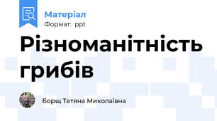 Різноманітність грибів