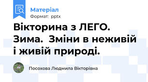 Вікторина з ЛЕГО. Зима.  Зміни в неживій і живій природі.
