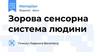 Зорова сенсорна система людини