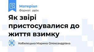 Як звірі пристосувалися до життя взимку
