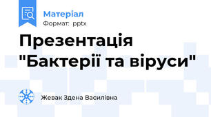 Презентація "Бактерії та віруси"