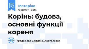 Корінь: будова, основні функції кореня
