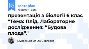 презентація з біології 6 клас "Тема: Плід. Лабораторне дослідження: “Будова плода”."
