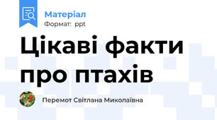 Цікаві факти про птахів