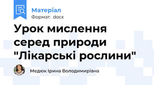 Урок мислення серед природи "Лікарські рослини"