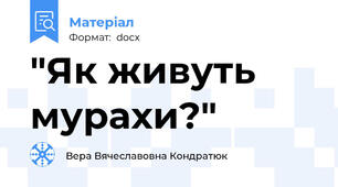 "Як живуть мурахи?"
