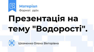 Презентація на тему "Водорості".