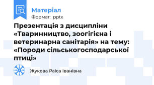 Презентація з дисципліни «Тваринництво, зоогігієна і ветеринарна санітарія» на тему: «Породи сільськогосподарської птиці»