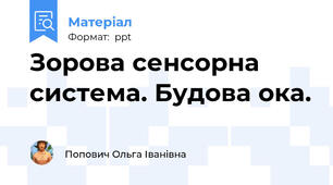 Зорова сенсорна система. Будова ока.