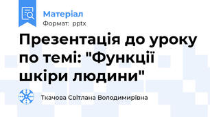 Презентація до уроку по темі: "Функції шкіри людини"