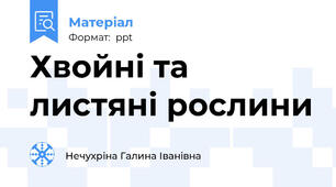 Хвойні та листяні рослини
