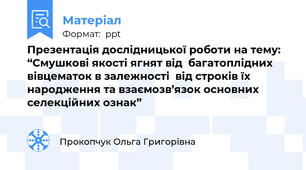 Презентація дослідницької роботи на тему:  “Смушкові якості ягнят від  багатоплідних вівцематок в залежності  від строків їх  народження та взаємозв’язок основних селекційних ознак”