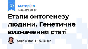 Етапи онтогенезу людини. Генетичне визначення статі