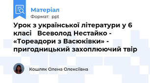 Урок з української літератури у 6 класі   Всеволод Нестайко -  «Тореадори з Васюківки» - пригодницький захоплюючий твір