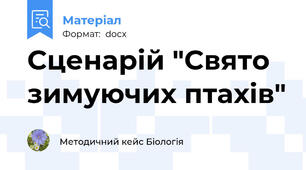 Сценарій "Свято зимуючих птахів"
