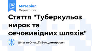 Стаття "Туберкульоз нирок та сечовивідних шляхів"