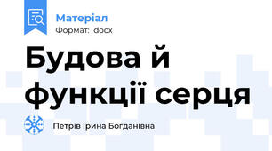 Будова й функції серця