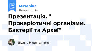 Презентація. " Прокаріотичні організми. Бактерії та Археї"
