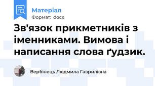 Зв'язок прикметників з іменниками. Вимова і написання слова ґудзик.