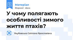 У чому полягають особливості зимого життя птахів?