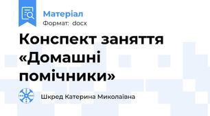Конспект заняття «Домашні помічники»