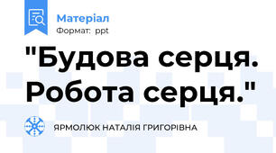 "Будова серця. Робота серця."