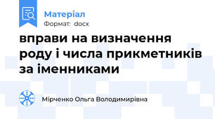 вправи на визначення роду і числа прикметників за іменниками