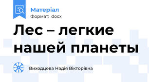 Лес – легкие нашей планеты