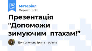 Презентація "Допоможи  зимуючим  птахам!”