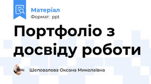 Портфоліо з досвіду роботи