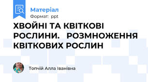 ХВОЙНІ ТА КВІТКОВІ РОСЛИНИ.   РОЗМНОЖЕННЯ КВІТКОВИХ РОСЛИН