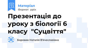 Презентація до уроку з біології 6 класу  "Суцвіття"