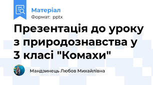 Презентація до уроку з природознавства у 3 класі "Комахи"