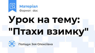 Урок на тему: "Птахи взимку"