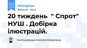 20 тиждень  " Спрот" НУШ . Добірка ілюстрацій.