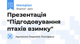Презентація "Підгодовування птахів взимку"