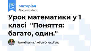 Урок математики у 1 класі  "Поняття: багато, один."