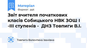 Звіт вчителя початкових класів Собицького НВК ЗОШ І -ІІІ ступенів -  ДНЗ Товпиги В.І.