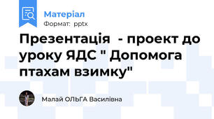 Презентація  - проект до уроку ЯДС " Допомога птахам взимку"