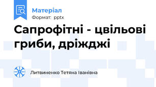 Сапрофітні - цвільові гриби, дріжджі