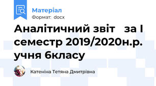 Аналітичний звіт   за І семестр 2019/2020н.р.  учня 6класу