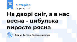 На дворі сніг, а в нас весна - цибулька виросте рясна