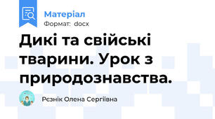 Дикі та свійські тварини. Урок з природознавства.